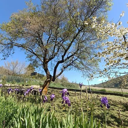 Alojamento de Turismo Rural Terramia *