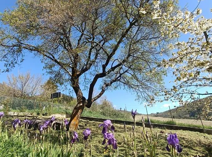 Alloggio per agriturismo Terramia *